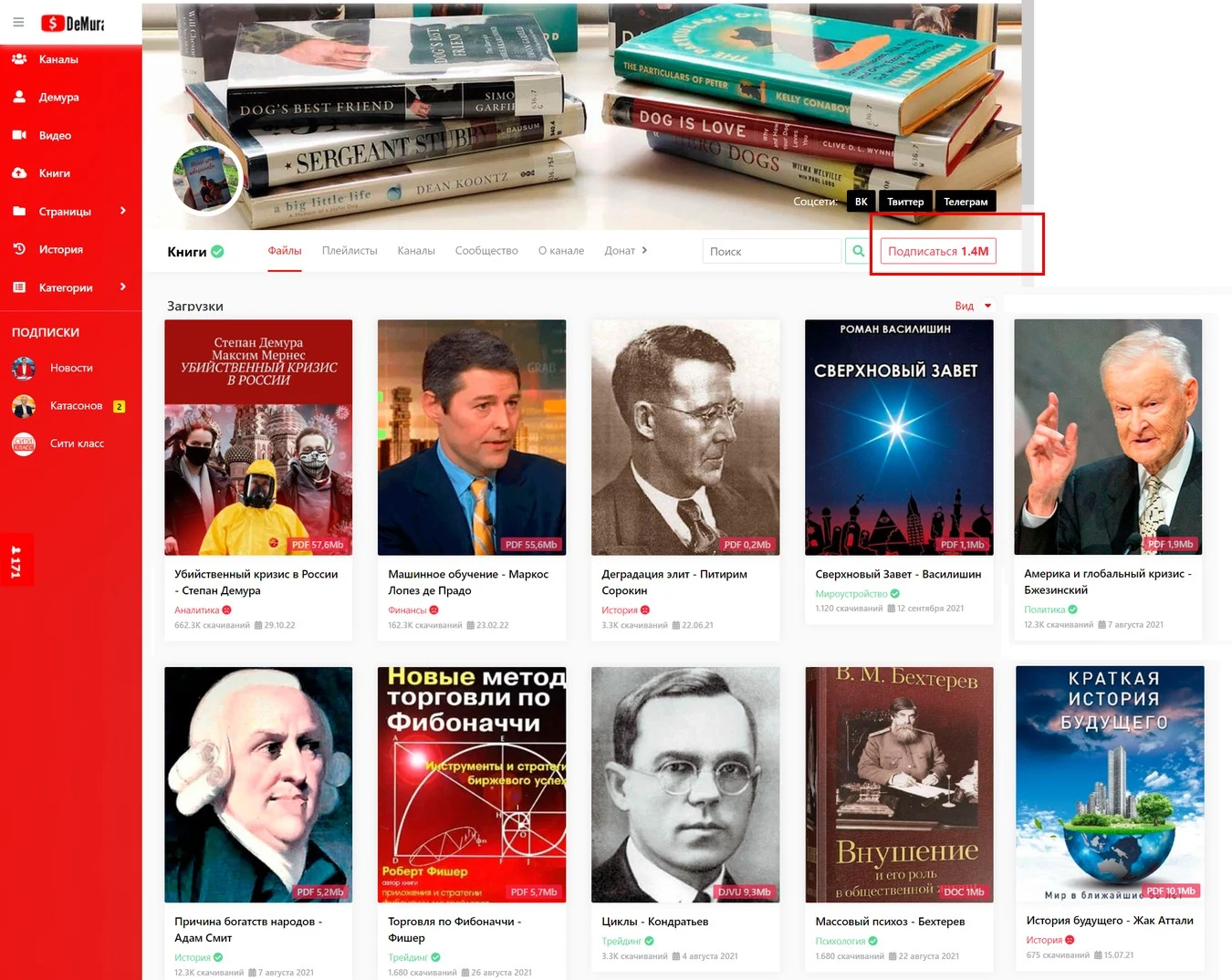 Степан Демура обзор