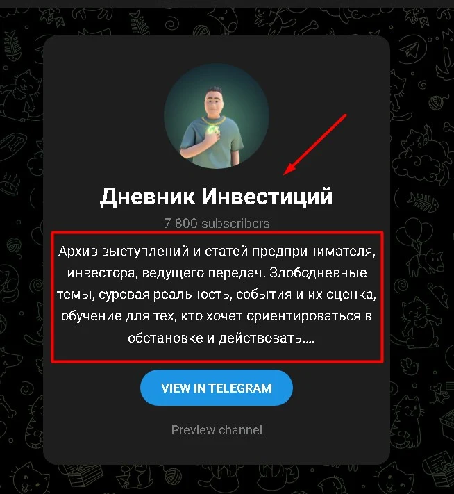 Никита Шельдяев телеграм