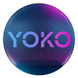 Yoko Инвестиции